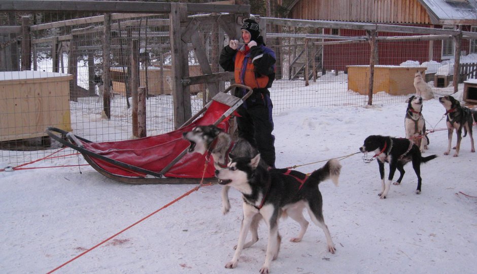 Snowtrail Dogcamp Husky DEF